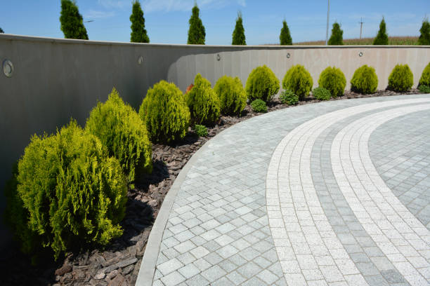 Best Driveway Paving Contractor  in Elkland, PA