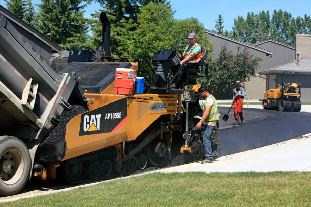 Best Driveway Paving Contractor  in Elkland, PA